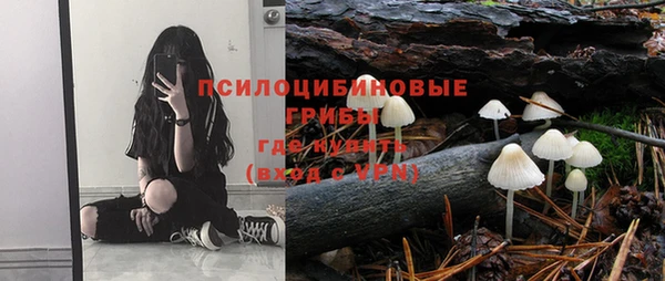 дмт Липки